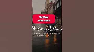 سورة الكهف الاية 45 بصوت اسلام صبحي 💕🤍