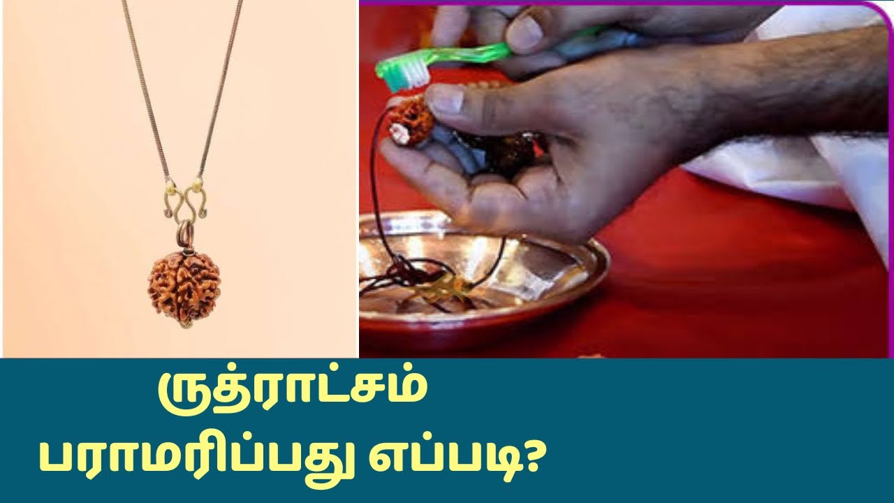 ருத்ராட்சம் பராமரிப்பது எப்படி? #rudraksham #rudraksha