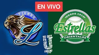LICEY VS ESTRELLAS / ESTADIO TETELO VARGAS / 10 DE DIC 2022 EN VIVO / EN PELOTA CON EL ROBLE