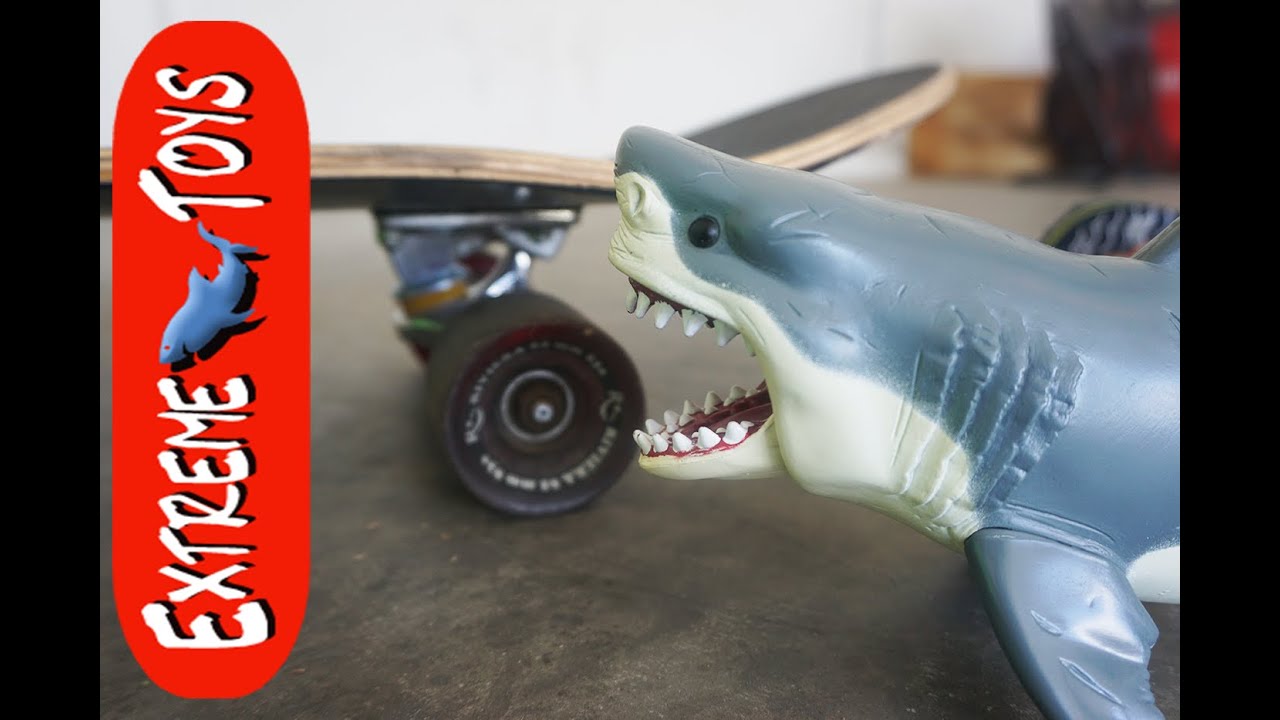 shark toys for dogs Megalodon Toy Gets Hurt Skateboarding! Cole helps the Shark Toy get Better