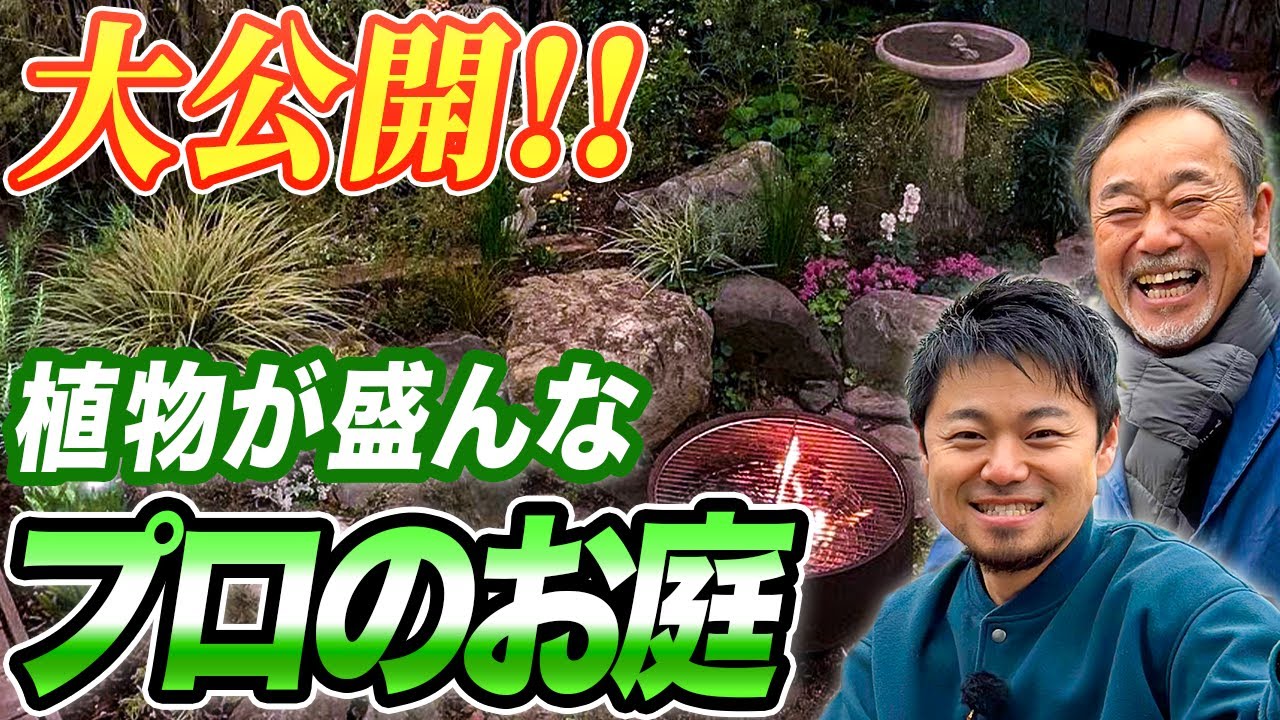【全て見せます！】滅多に見れないプロのお庭！多数の植物とデッキが融合した素敵な空間！【外構】