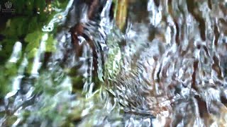 BABBLING BROOK | Water Sounds  | Nature Sounds | Sleep Meditation | Calming Music | ASMR | асмр
