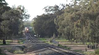 7901V BL33 / X50 & G539 with The Fruity to Merbein ( Mildura ) 18.9.2021 7901V BL33 / X50 & G539 with The Fruity to Merbein ( Mildura ) 18.9.2021