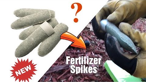 How to install fertilizer spikes & how they work.