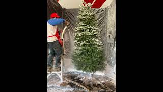 How to Flock a Christmas Tree | Easy, Cheap, Fast Flocking Method