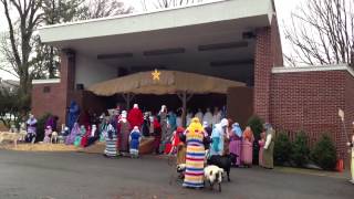Live nativity 2