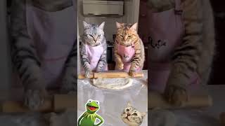 Komik Hayvanlar Misafir Ol Gel Bana Börekler Acarım Sana 😀😃🙂🙃