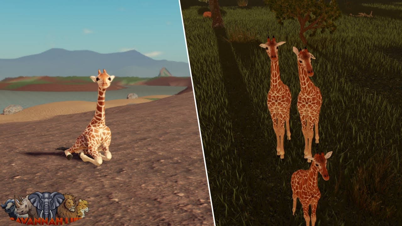Hunting Players as Giraffe in Savannah Life ⏐ Roblox 🦒