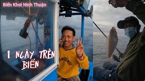 12 Giờ Câu Câu Cá Tại Vùng Biển Cà Ná