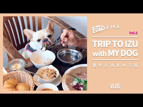 -伊豆-　愛犬と泊まれる宿『ホテル 四季の蔵』/ 犬と伊豆旅行vol.2 / Trip to IZU with my dog.