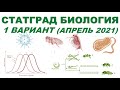 СТАТГРАД БИОЛОГИЯ | 1 вариант | Апрель 2021