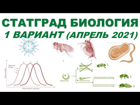 СТАТГРАД БИОЛОГИЯ | 1 вариант | Апрель 2021