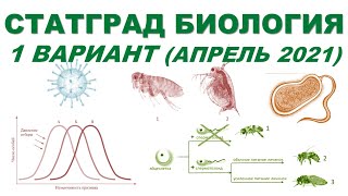 СТАТГРАД БИОЛОГИЯ | 1 вариант | Апрель 2021