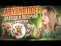 Обзор мем-коин BabyBNBTiger |  Стоит ли покупать?