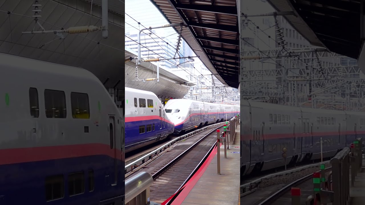 Double Decker E4 Series Shinkansen arriving at Tokyo Station