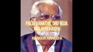 PALAI VANATHIL ORU ROJA - NAGOOR HANEEFA | Tamil Islamic Song