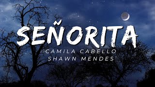 Señorita - Camila Cabello & Shawn Mendes (Lyrics)