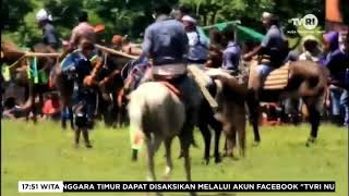 Tvri Ntt  Pagelaran Pasola Homba Kalayo sumba Barat Daya