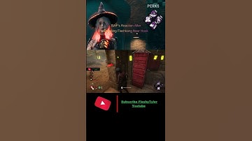 Dropping Flashbang on Killer Hook To Save!