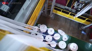 Nonwoven Fabric Machine For Slovakia screenshot 5
