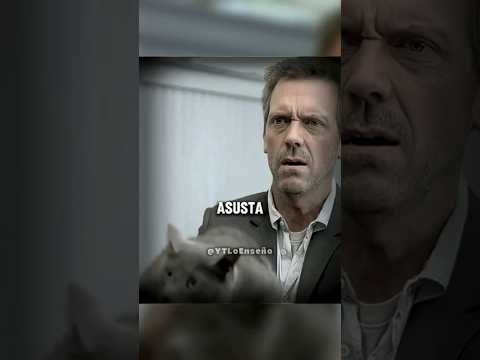 El Doctor House Resuelve el Misterio del Gato Mágico Que Predice tu Muerte - Doctor House