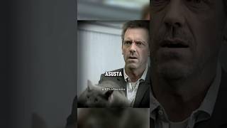 El Doctor House Resuelve El Misterio Del Gato Mágico Que Predice Tu Muerte - Doctor House