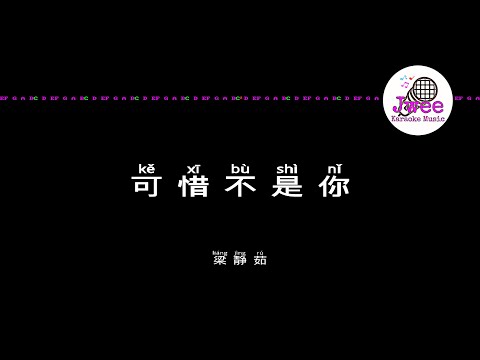 梁静茹 《可惜不是你》 Pinyin Lyrics 动态拼音歌词 4k