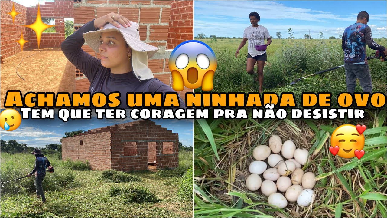NINGUÉM ACREDITOU! ACHAMOS UMA NINHADA GIGANTE DE OVOS NO MEIO DO MATO 😱🥚 (Quase Perdemos Tudo)