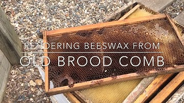 Rendering Beeswax From Old Brood Comb