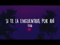 Feid - Si Te La Encuentras Por Ahí (Letra/Lyrics)