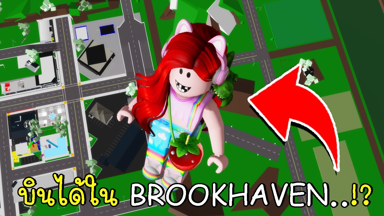 ลูกกิ้งก่า Update 2022 บินได้ใน BROOKHAVEN !? I Can Fly in BrookhavenRP | CKKID