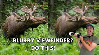 Blurry viewfinder? Here is an easy fix Blurry viewfinder? Here is an easy fix