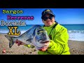 🔴 2 Salida De Pesca con la Jefa Surfcasting Dorada XL y muchas capturas y sueltas 🔴