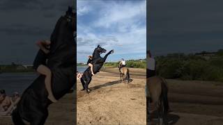 Horse beautiful jump