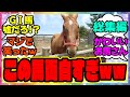 『おもしろ競馬ネタ集 総集編』に対するみんなの反応集 まとめ ウマ娘プリティーダービー レイミン 競馬の反応集