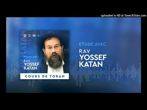 Aperçu : Parachat Noah: "Habara kadabra"