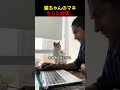 行動をマネしてみたら、意外な結末に…