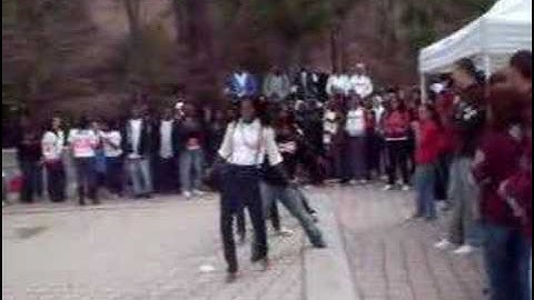 Delta Sigma Theta at the CUS & Lambdas yardshow UCF