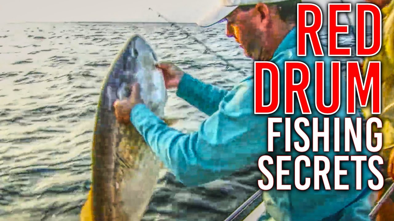 Red Fishing Guide The Ultimate Guide to Redfish Fishing in NC - YouTube