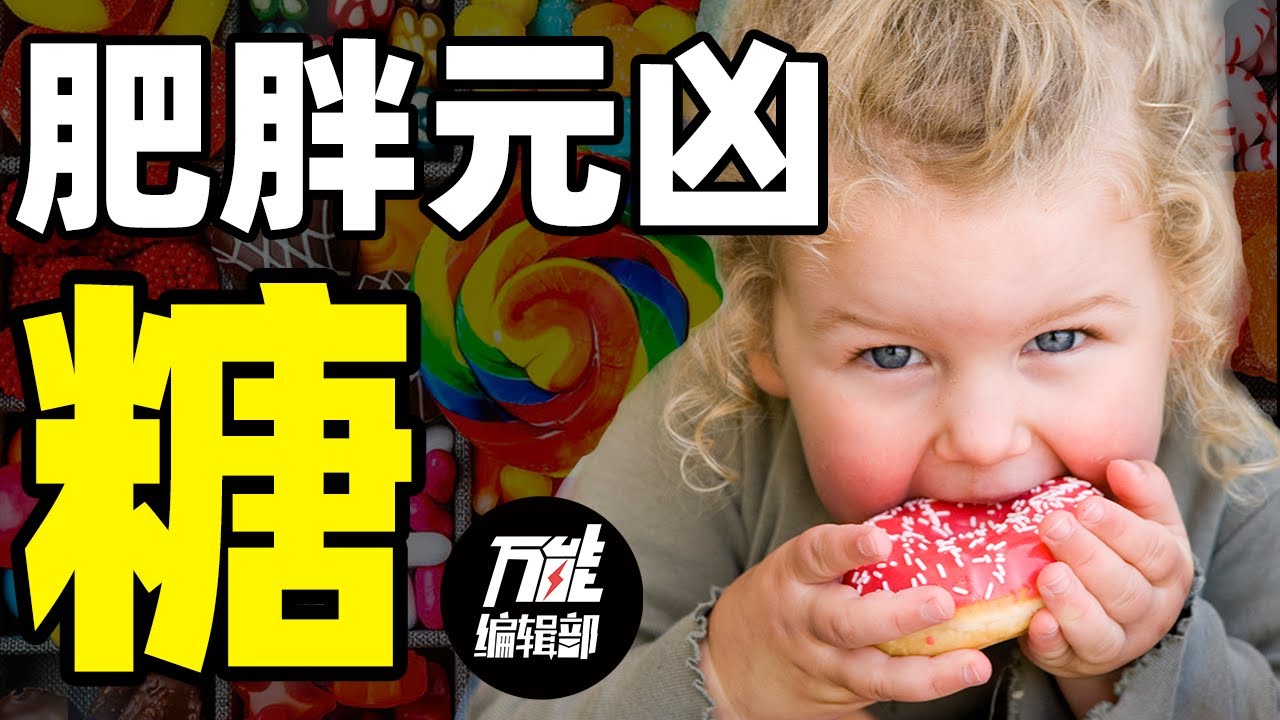 这才是肥胖的真正元凶！也许你每天都超量摄入了 | 饮食健康 | 万能编辑部