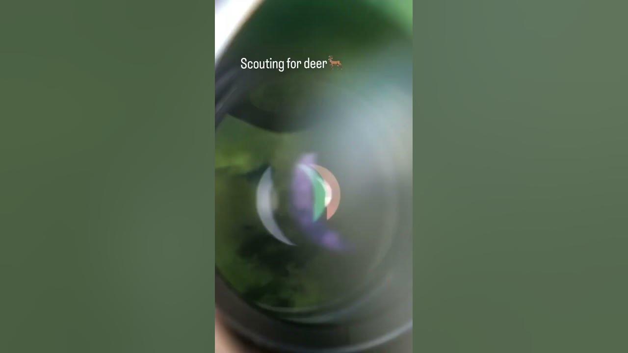 5-months-until-california-deer-season-youtube