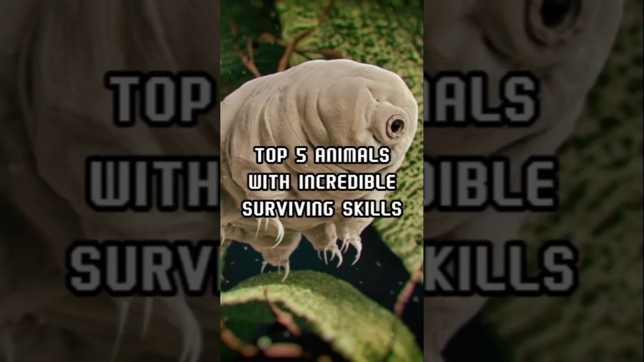 WILD Animals That Cheat DEATH With Amazing Skills 