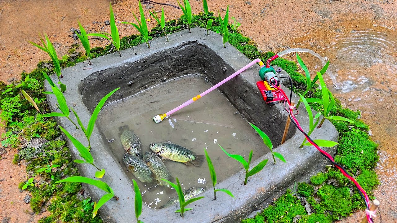 How To Use Mini Water Pump For Mini Pond waterpump YouTube how-to-use-mini-water-pump-for-mini-pond-waterpump-youtube