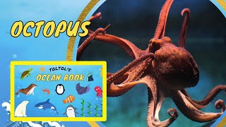 Largest and Smallest Octopus, and the Most Dangerous! | Toltol’s Ocean Life Book - Kids Encyclopedia screenshot 3