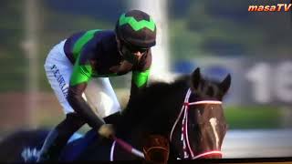 情報 21年阪神jf G1 賽馬大亨系列哈啦板 巴哈姆特