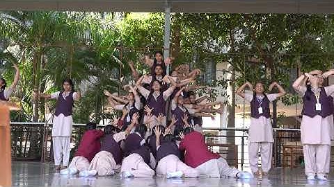 Aurelia – Something Incredible Is Coming…