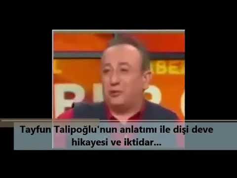 Tayfun Talipoğlu dişi deve hikayesi