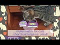 FURminator for cats short hair large vs. small - Cat Chat with Heidi