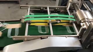 Revolutionize Your Packaging with the High Speed WFD-100 Paper Handle Machine!