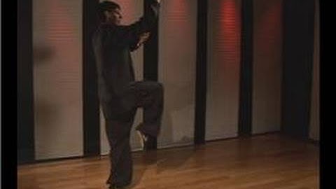 Kung Fu Fighting : Praying Mantis Palm Block Uppercut Down Strike